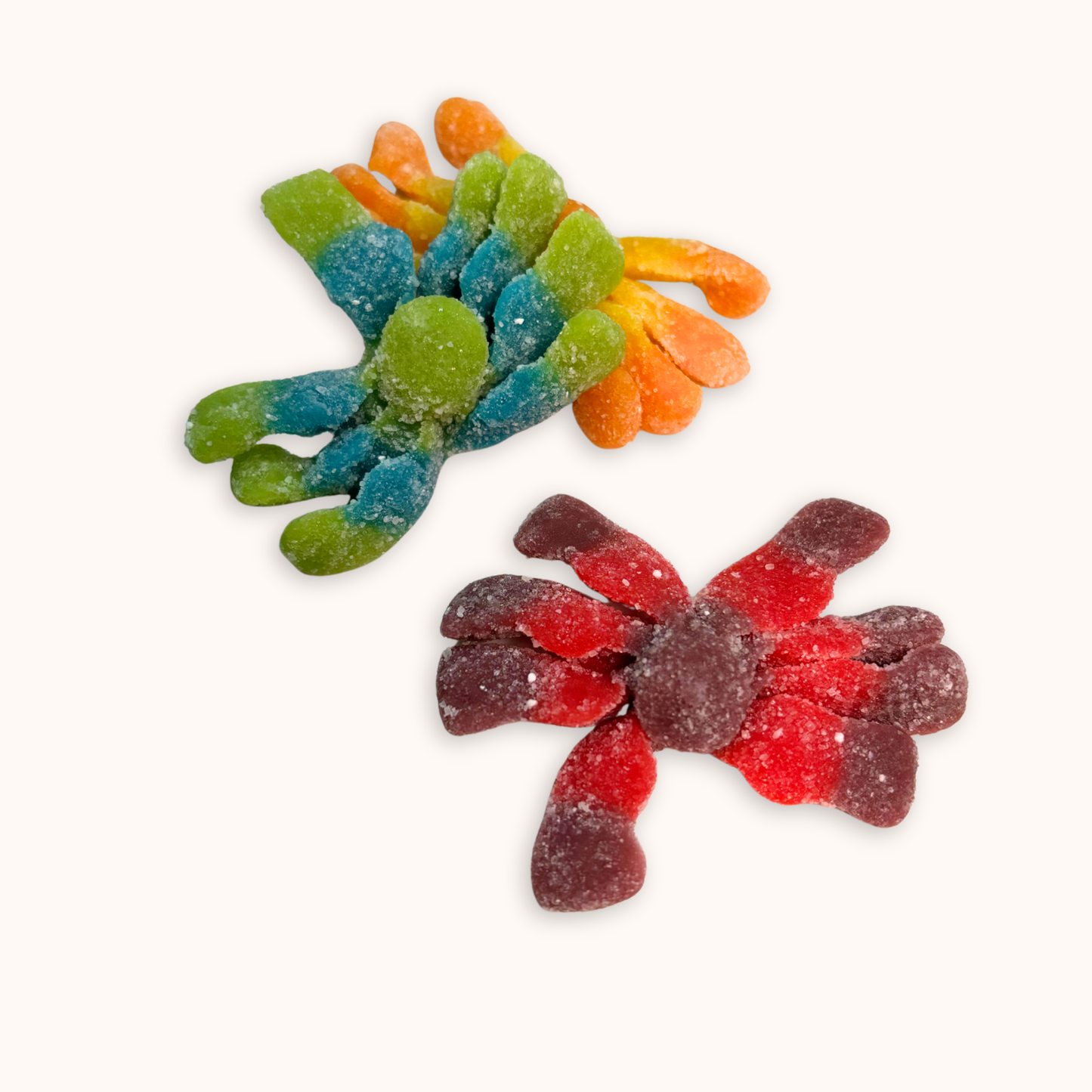 Trolli - Pieuvres