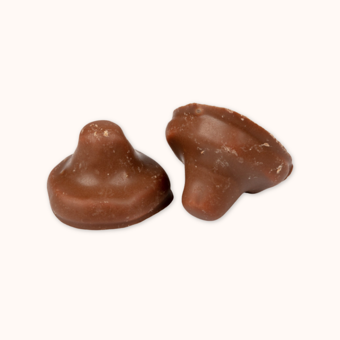 Champignon mousse enrobé de chocolat