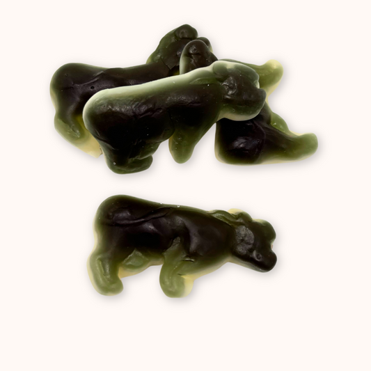 Vaches