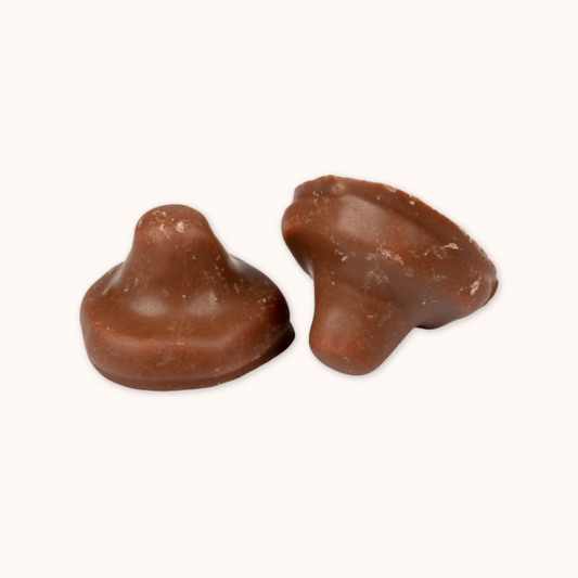 Champignon mousse enrobé de chocolat
