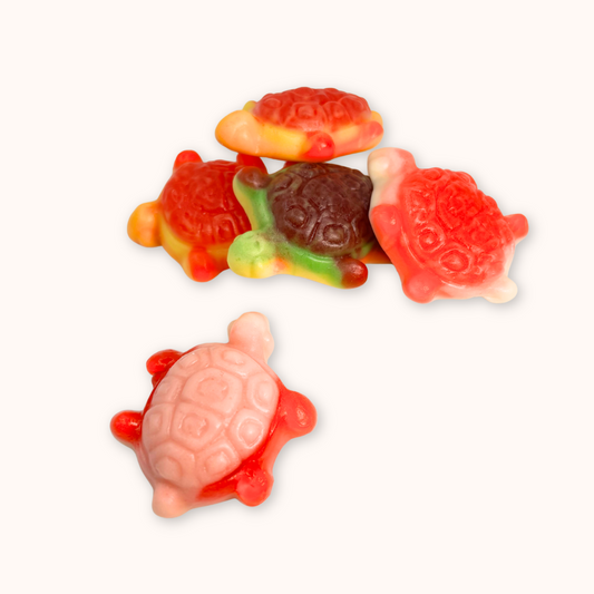Tortues farcies